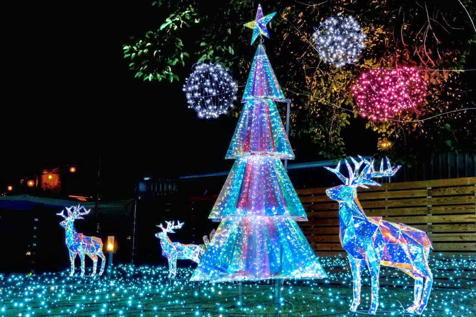 燈會期間也規劃有應景的聖誕樹。圖片來源：台東縣政府