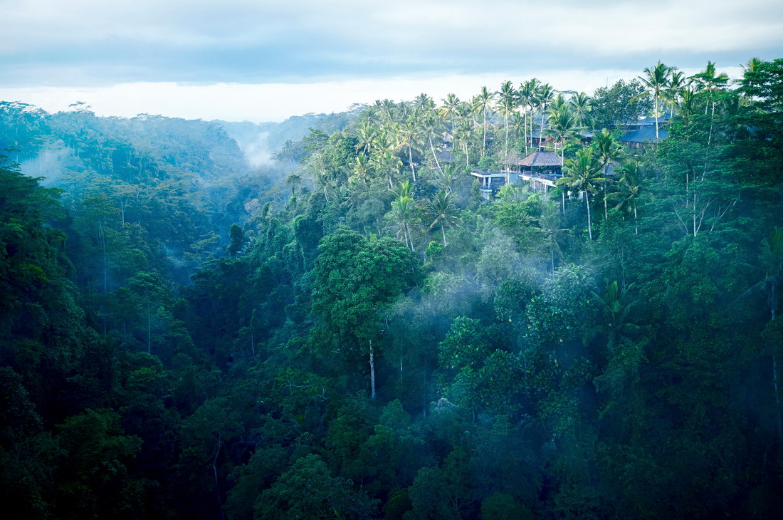 坐落於烏布熱帶樹林中的虹夕諾雅 峇里島。圖片來源：虹夕諾雅 峇里島