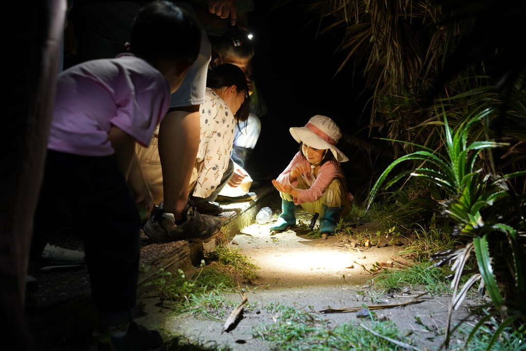 夜探三仙台可讓人在暗空中認識及探索在地動(植)物的生態與棲地。 圖片來源：探索東海岸