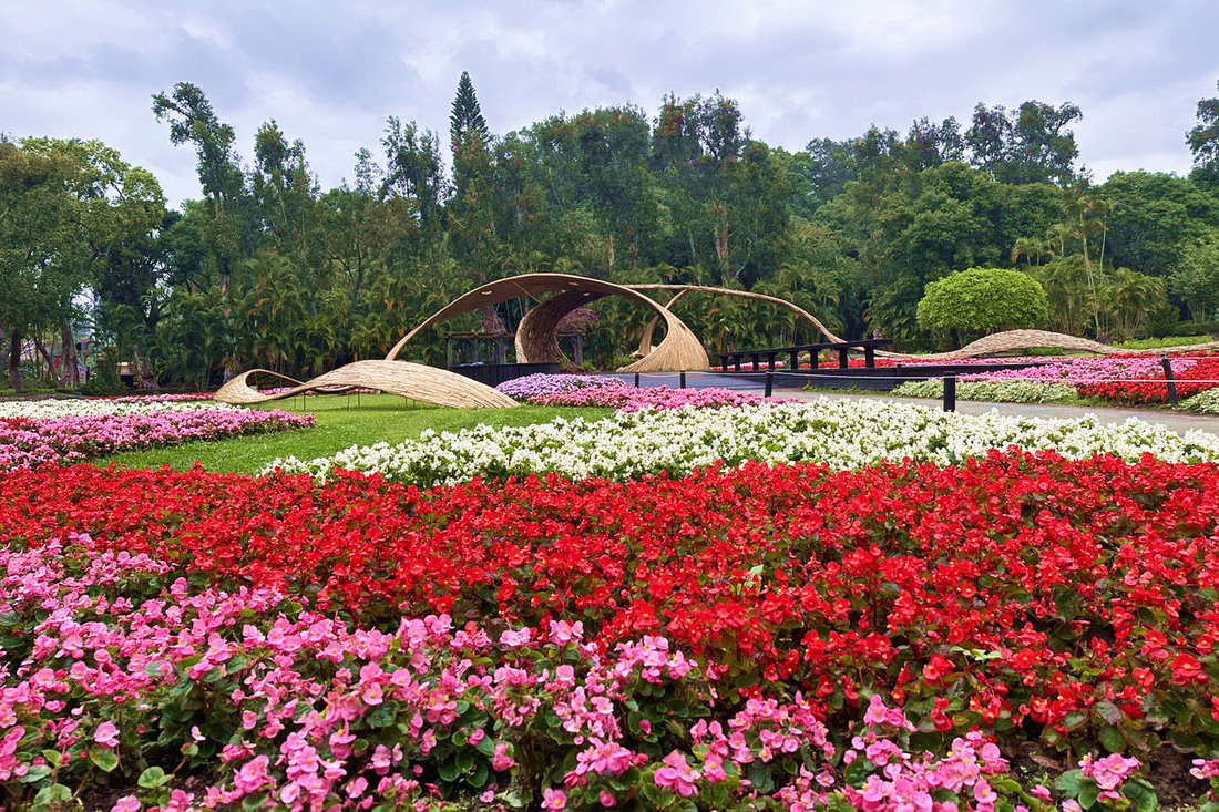鬱金香展期間，也可見到其它盛放的草花。圖片來源：台北市政府