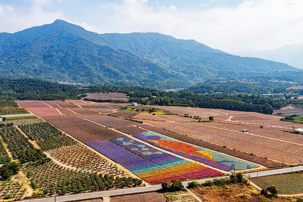 10萬顆不同顏色彩帽的地景圖案《山腳邊的穿山甲母子》，畫面非常壯觀。圖片來源：屏東縣政府