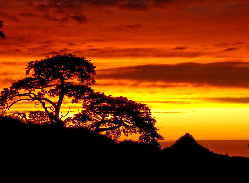 大雪山的夕照非常迷人，是夜宿山上不容錯過的美景。 圖片來源：林務署