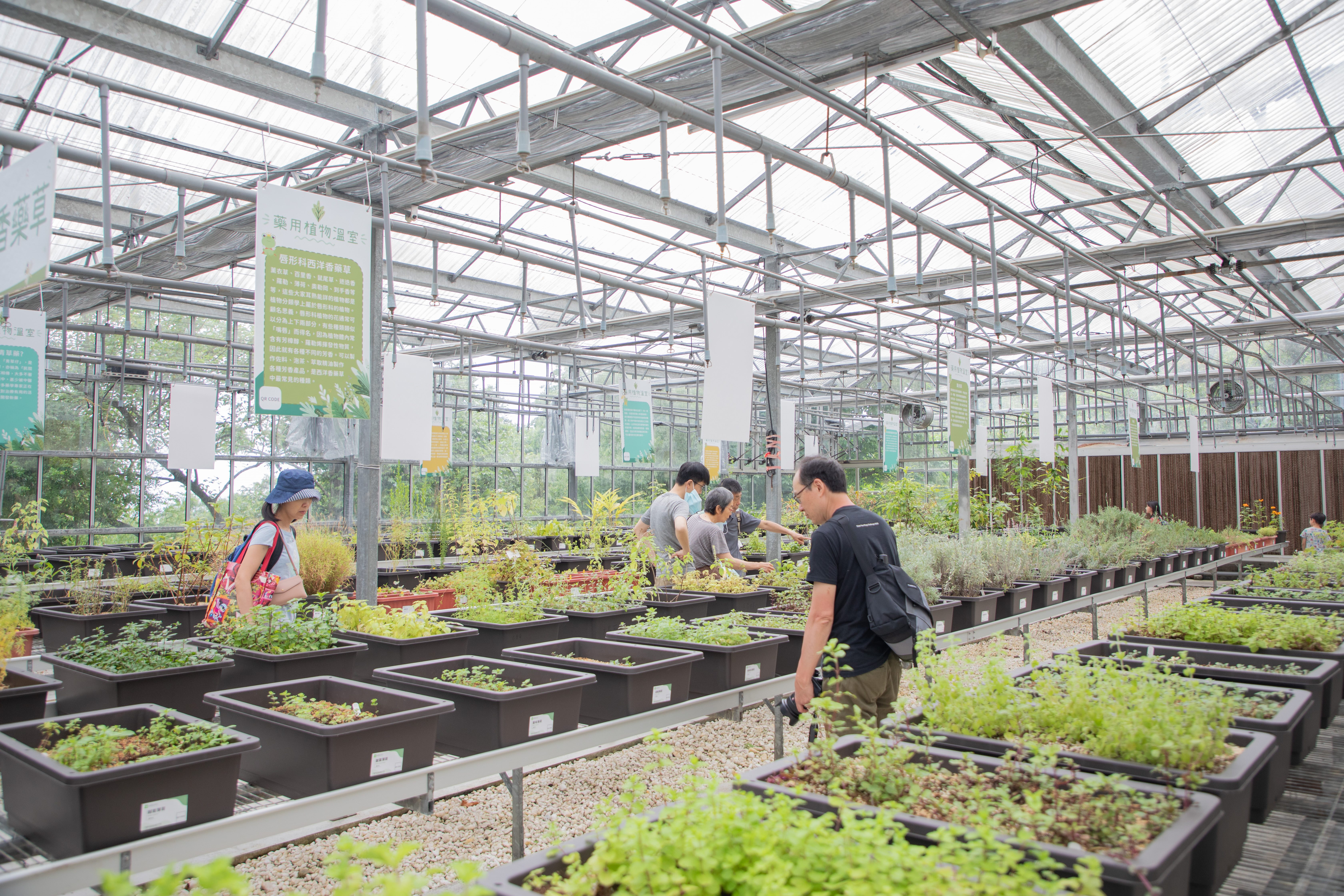 除了愛情花，內雙溪自然中心也規劃有溫室植物園可以探索。圖片來源：台北大地工程處