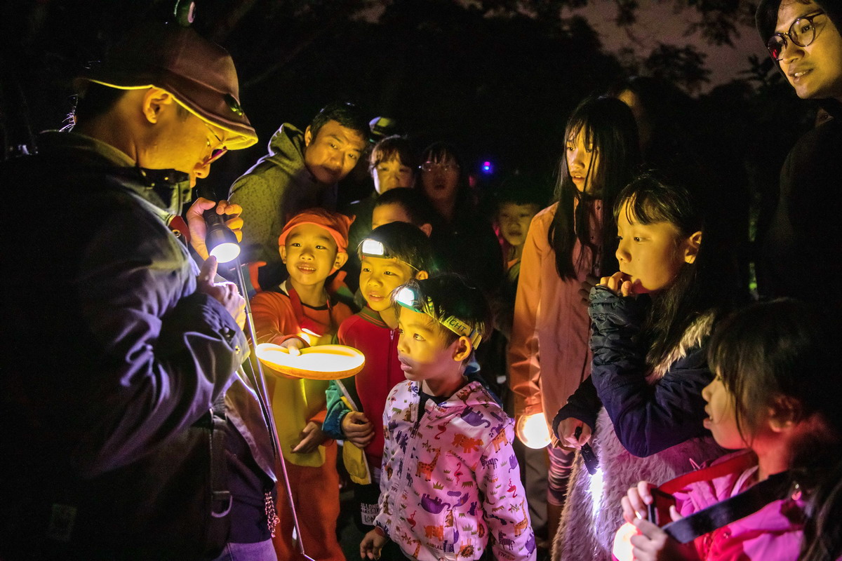 活動中有夜觀貴子坑生態，探訪生物有趣的夜生活。圖片來源：台北市政府