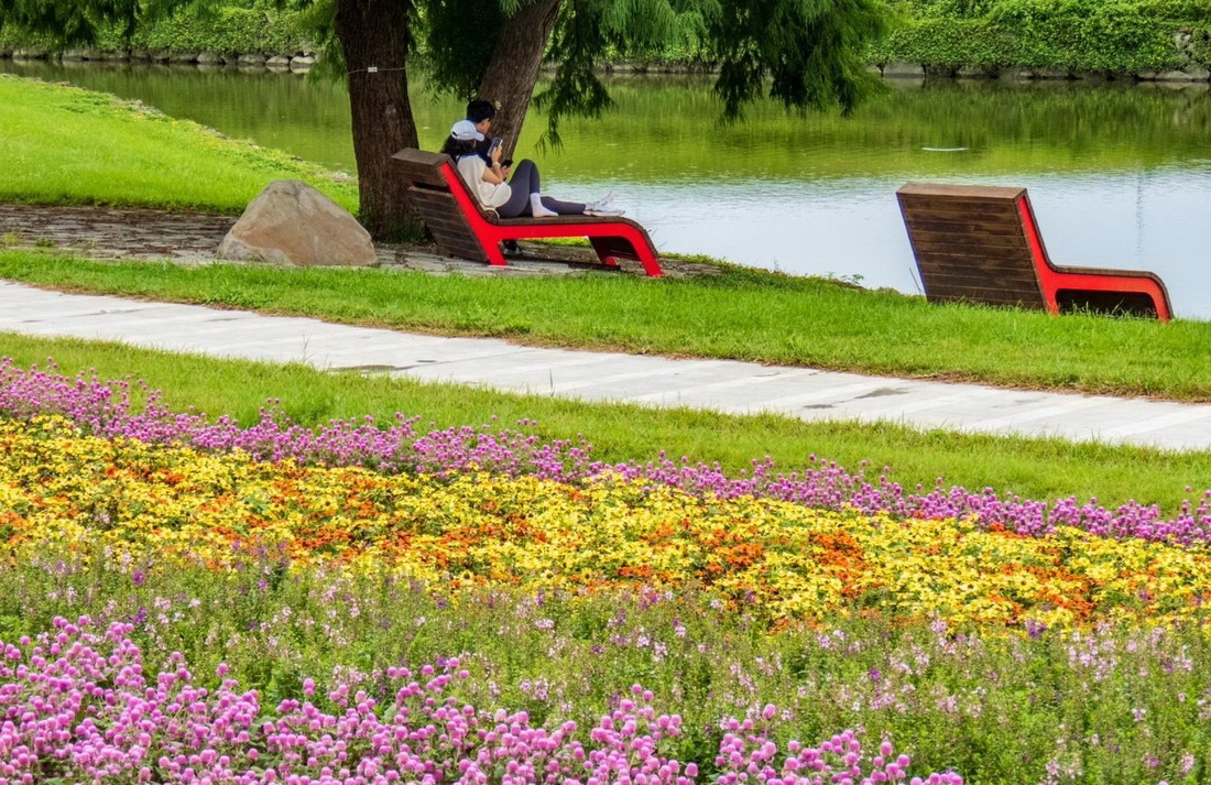 花海旁設有河畔鄉村風木椅，讓人休憩。圖片來源：北市水利處