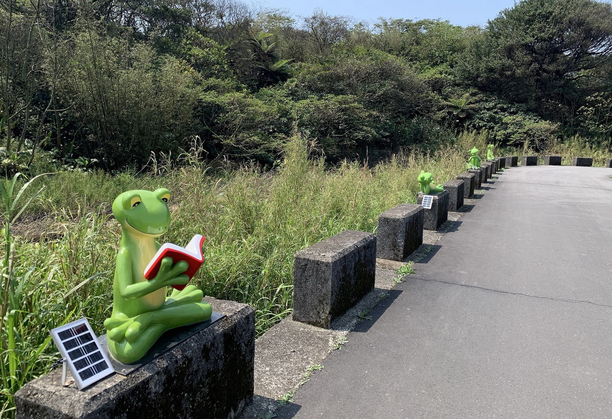大屯溪旁屯山荷花池的青蛙裝置藝術，呈現各式趣味姿態。圖片來源：新北市政府