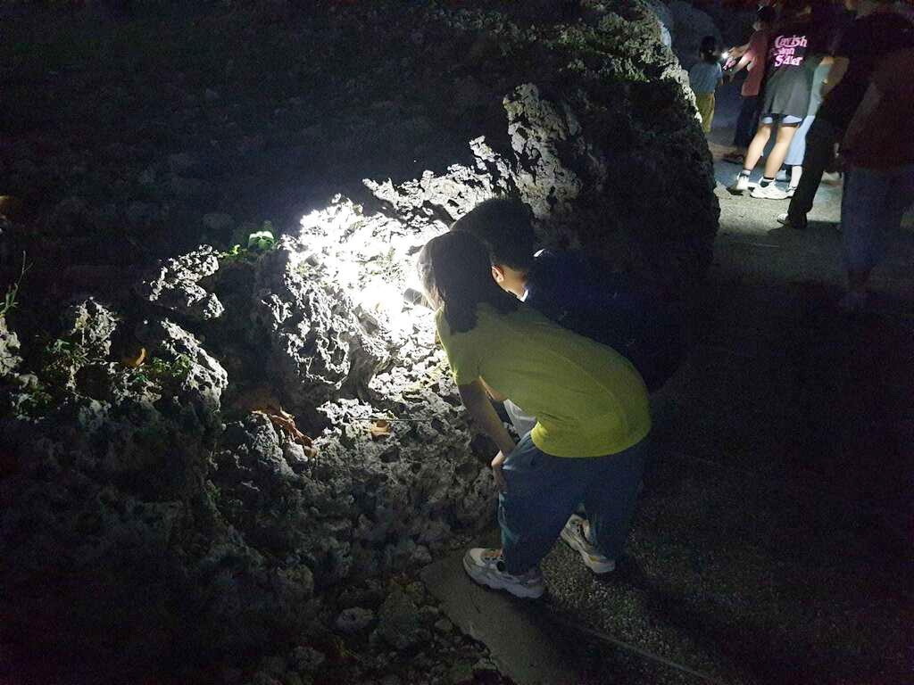 「夜訪小野柳」能感受不同於白天的海洋生態之美。圖片來源:東管處