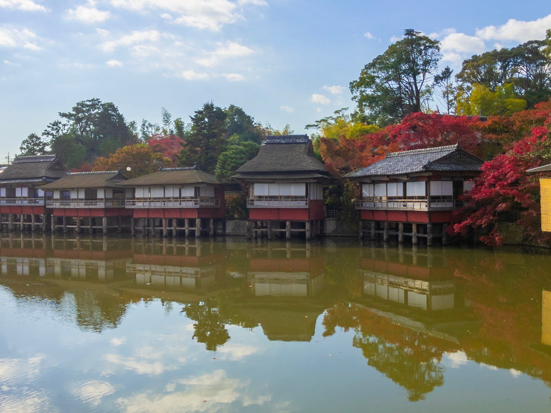 錦水亭庭園。圖片來源：京都府觀光連盟