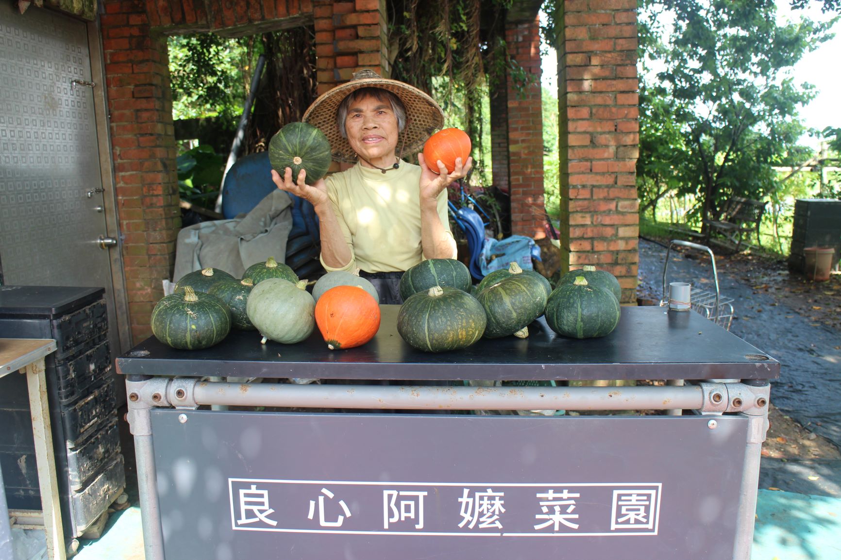 「屯山阿嬤」謝簡素年年種出色彩繽紛的的南瓜。圖片來源：新北市政府