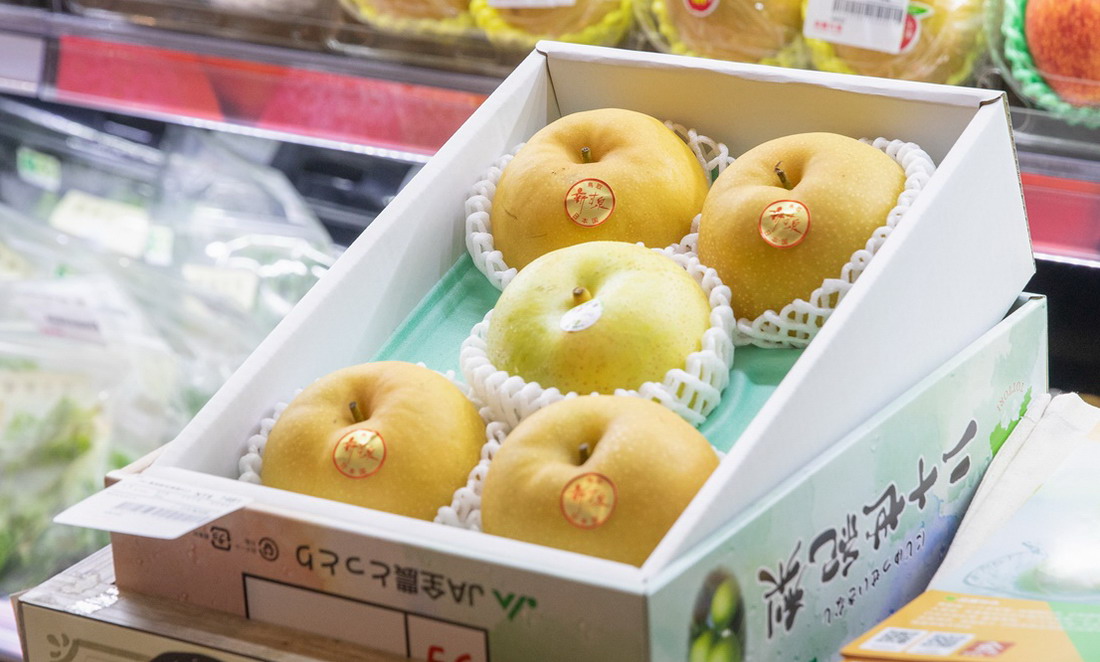 鳥取縣產的20世紀梨。